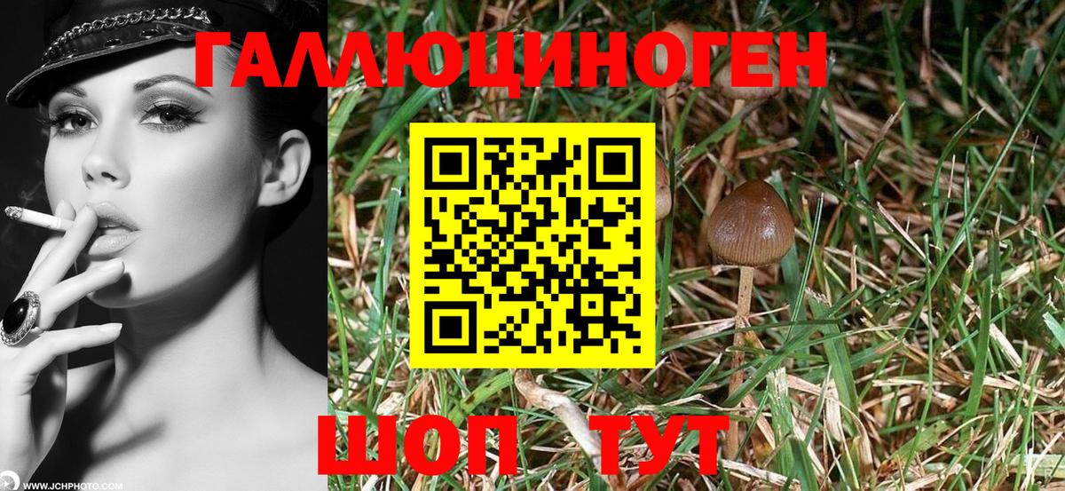 Галлюциногенные грибы GOLDEN TEACHER Кострома